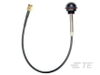 Antennas - ANT-DB1-WRT-SMA - TE Connectivity