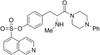 1-[(S)-O-(5-Isoquinolinesulfonyl)-N-methyltyrosyl]-4-pheny.. - 11241 - Medical Isotopes, Inc.