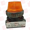 Pilot Light - 210955574 - Radwell International