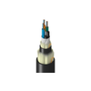 Fiber Optic Cables - 135-TT-SAD-036-H2NN-ND - DigiKey