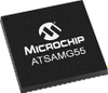 Microcontrollers - 1773919 - RS Components, Ltd.