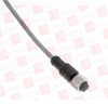 QD Cable/Cord Set - 116806254 - Radwell International