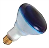 65-75/BR30/BLUE - Interlectric Corporation