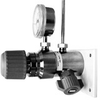 Point-Of-Use Regulator -- MiniLabo 2VCR - Image
