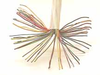 CAB050-PH-PL-L3 - Cable Depot Inc.
