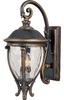 41425WGGO Exterior -Wall Mount - 408197 - Capital Lighting, Inc.