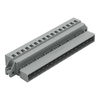 Male connector/plug - 231-616/019-000 - WAGO