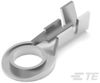 Ring Terminals & Spade Terminals - 40894 - TE Connectivity