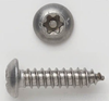 Self-Tapping Screw - Non Metric -- 10X112BHTWPTSSS - Image