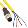 Circular Cable Assemblies - 277-9839-ND - DigiKey