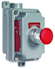 Explosionproof Pushbutton Control Station -- FXCS-2MMR3-M - Image