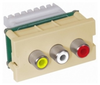 Datacommunication Face Plate with Jack - IMR1101EI - Hubbell Incorporated