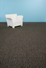 Exquisite EcoWorx&reg; Broadloom Carpet - Z6469 - Patcraft Commercial Carpet