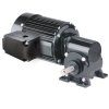 Metric 42R-5F Series AC Right Angle Gearmotor -- 1623 - Image