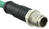 Sensor Cord, 8P M12 Plug-Free End, 1M Rohs Compliant Amphenol Ltw - 69AH8835 - Newark, An Avnet Company