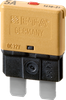 Thermal Overcurrent Circuit Breaker -- 1610-21