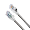 10GX RFID Patch Cord UTP LSZH -- 10GX UTP LSZH RFID PATCH CORDS - Image
