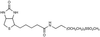 1-Biotinylamino-3,6,9-trioxaundecane-11-yl-methanethiosulf.. - 7422 - Medical Isotopes, Inc.