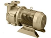Single Stage Motor Mounted Liquid Ring Vacuum Pumps - DV0150B-M - DEKKER Vacuum Technologies