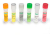iScript&trade; Select cDNA Synthesis Kit - 170-8897 - Bio-Rad Laboratories, Inc.