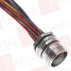 QD Cable/Cord Set - 12555410 - Radwell International
