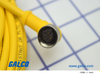 TURK Sensor Cordsets - WKB3T-6 - Galco Industrial Electronics