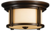 Outdoor Ceiling Light - OL7513HTBZ - Generation Brands
