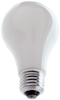 Incandescent Lamp for Photographic Enlarger - Image