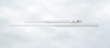 Disposable Pasteur Pipettes, Plain End, Borosilicate Glass, 230 mm; 1000/Cs -- GO-25554-04