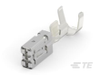 Automotive Terminals - 1-967590-2 - TE Connectivity