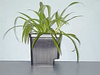 Mini Hydro Bucket w/out elbows -- AD307032 - Image