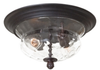 8769-166 2 Light Flush Mount - 8769-166 - Minka Group