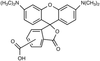 5(6)-Tetramethylrhodaminecarboxylic Acid - 13768 - Medical Isotopes, Inc.