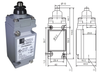 Limit Switch - 60244253 - Radwell International