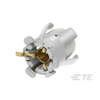 Coaxial Connector (RF) Assemblies - 1734-2338810-1-ND - DigiKey