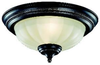 Fans-Light Kits - 384919 - Light Center (The)