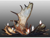 Large Chandeliers-Candle - 332573 - Light Center (The)