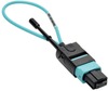 MTP / MPO Fiber Optic Loopback Tester (Multimode 50/125um, OM3) - Female -- N844-LOOP-12F