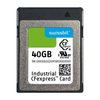 Memory Cards - 1052-SG2600CE040GI-1TB1-1DB-STD-ND - DigiKey