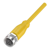BALF Sensor Cordsets - BCC05FA - Galco Industrial Electronics