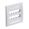 Keystone Faceplates, Frames - CFPE10IG-2GY-ND - DigiKey
