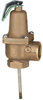 Automatic Reseating Temperature and Pressure Relief Valve -- 140S, 140X - Image
