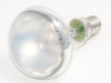 40 Watt, 125-130 Volt European Flood Reflector Bulb - 149855 78 - bulbs.com