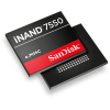 64GB Memory IC and Storage Component - 502-SDINBDA4-64G - ERSAELECTRONICS PTE. LTD.