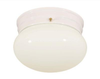 Flush Mounts-Bowl Style - 68607 - Light Center (The)