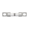 Electrical, Specialty Fuses - 283-EXM10-15-SCT-ND - DigiKey