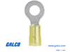 PNDT Solderless Terminals - PNF10-14R-L - Galco Industrial Electronics