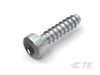 Connector Hardware, Mounts, Locks & Retainers - 1110916-8 - TE Connectivity