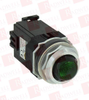 Pilot Light - 101865858 - Radwell International