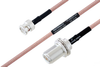 MIL-DTL-17 BNC Male to N Female Bulkhead Cable 200 cm Length Using M17/60-RG142 Coax - PE3M0004-200CM - Pasternack